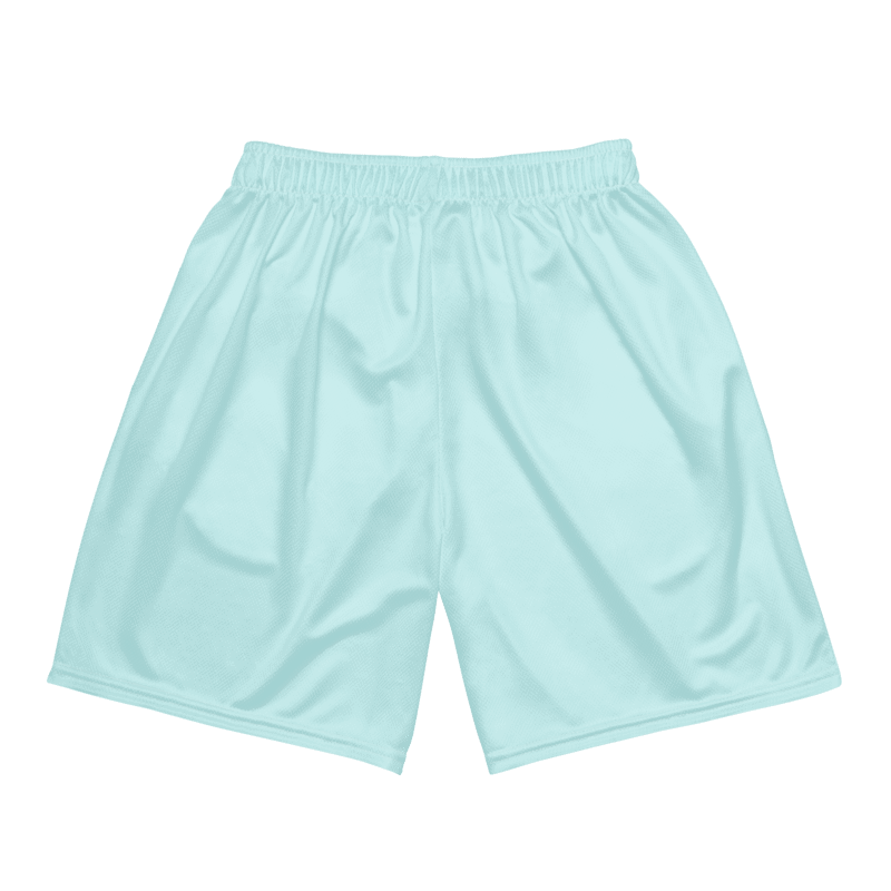 Quick Dry Mesh Shorts for All ( light blue) - Psychofits