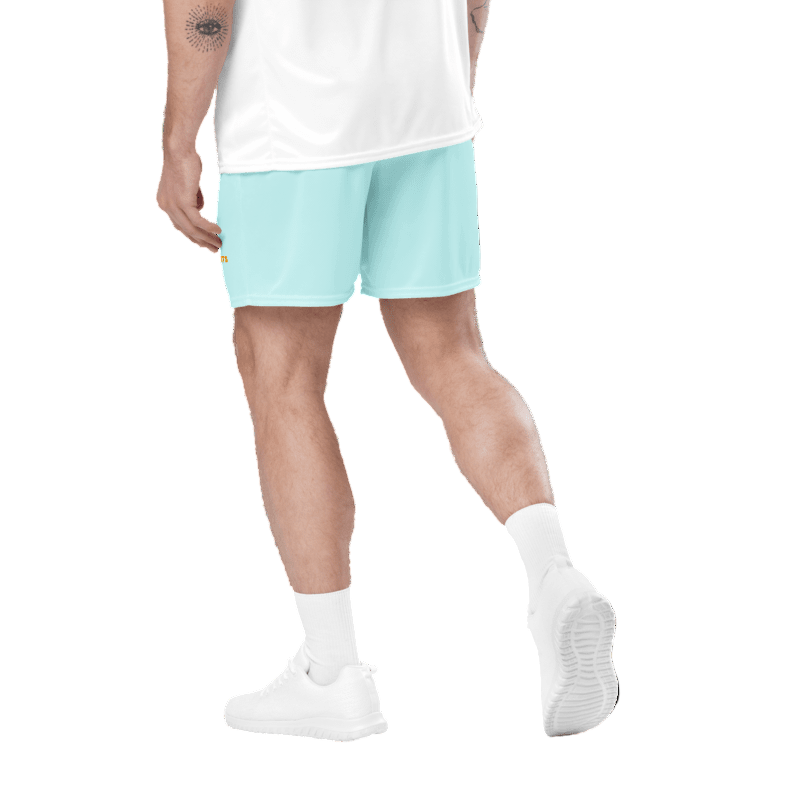 Quick Dry Mesh Shorts for All ( light blue) - Psychofits