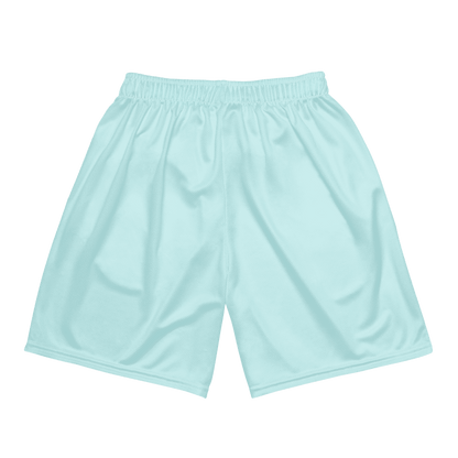 Quick Dry Mesh Shorts for All ( light blue) - Psychofits